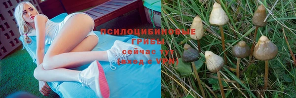 COCAINE Гусиноозёрск
