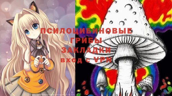 COCAINE Гусиноозёрск